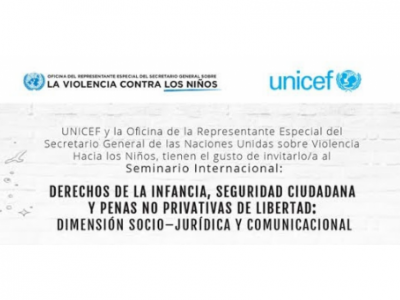 Seminario: Derechos de la Infancia, seguridad ciudadana y penas no privativas de libertad